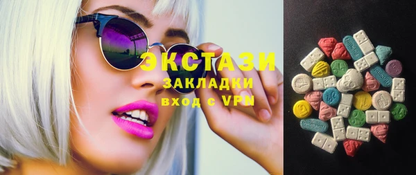 молекула духа Ельня