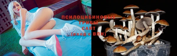 прущая мука Дмитровск