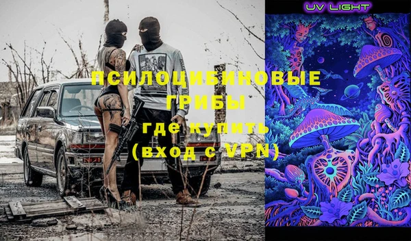 ECSTASY Елизово