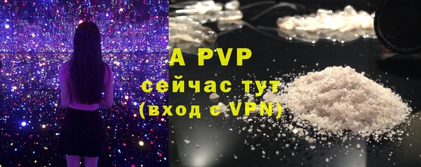 молекула духа Ельня