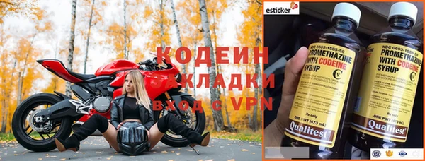 молекула духа Ельня