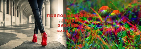 ECSTASY Елизово
