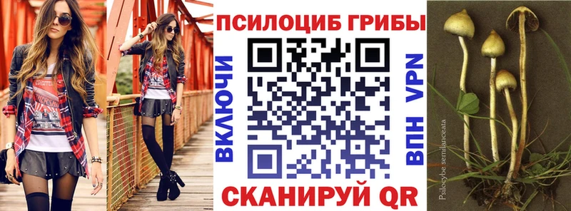 Псилоцибиновые грибы прущие грибы  Лосино-Петровский 